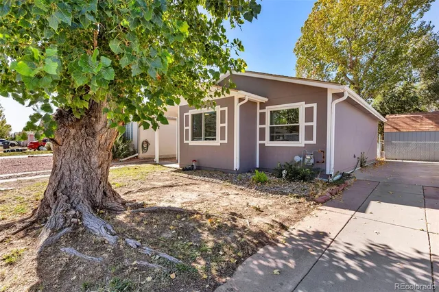 a view of a yard in front of a house with large tree