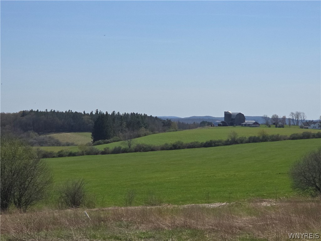 6700 Mt Monroe Road New Hudson, NY 14727 - Photo 9 of 40
