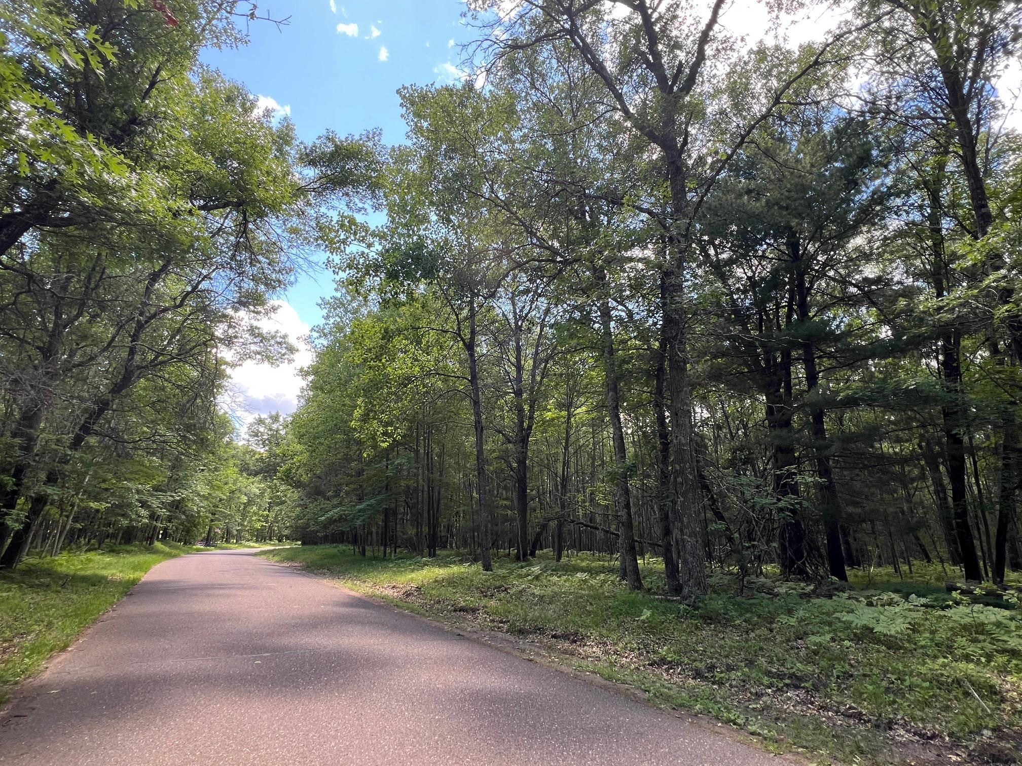 Lot 14 Loon Lake Road Danbury, WI 54830 - Photo 1 of 16