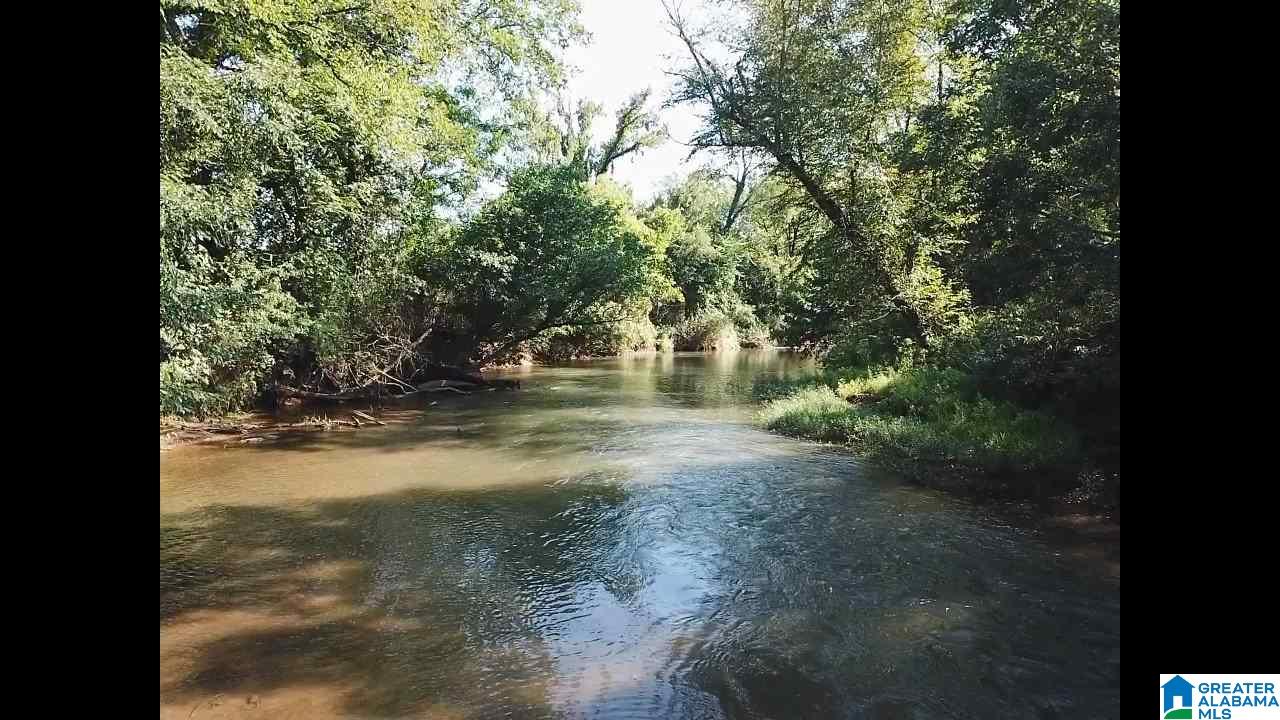 160 Strickland Lane Alpine, AL 35014 - Photo 15 of 50