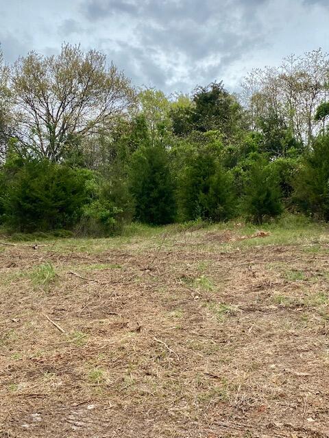 0 Raspberry Road, Unit LOT 59 Highlandville, MO 65669 - Photo 1 of 1 IMG_0405
