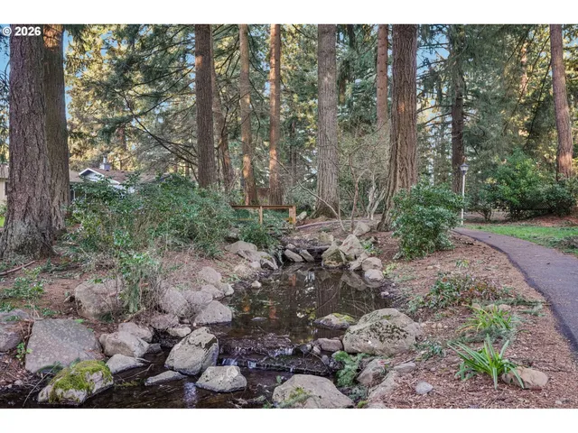 a view of a forest with trees in the background