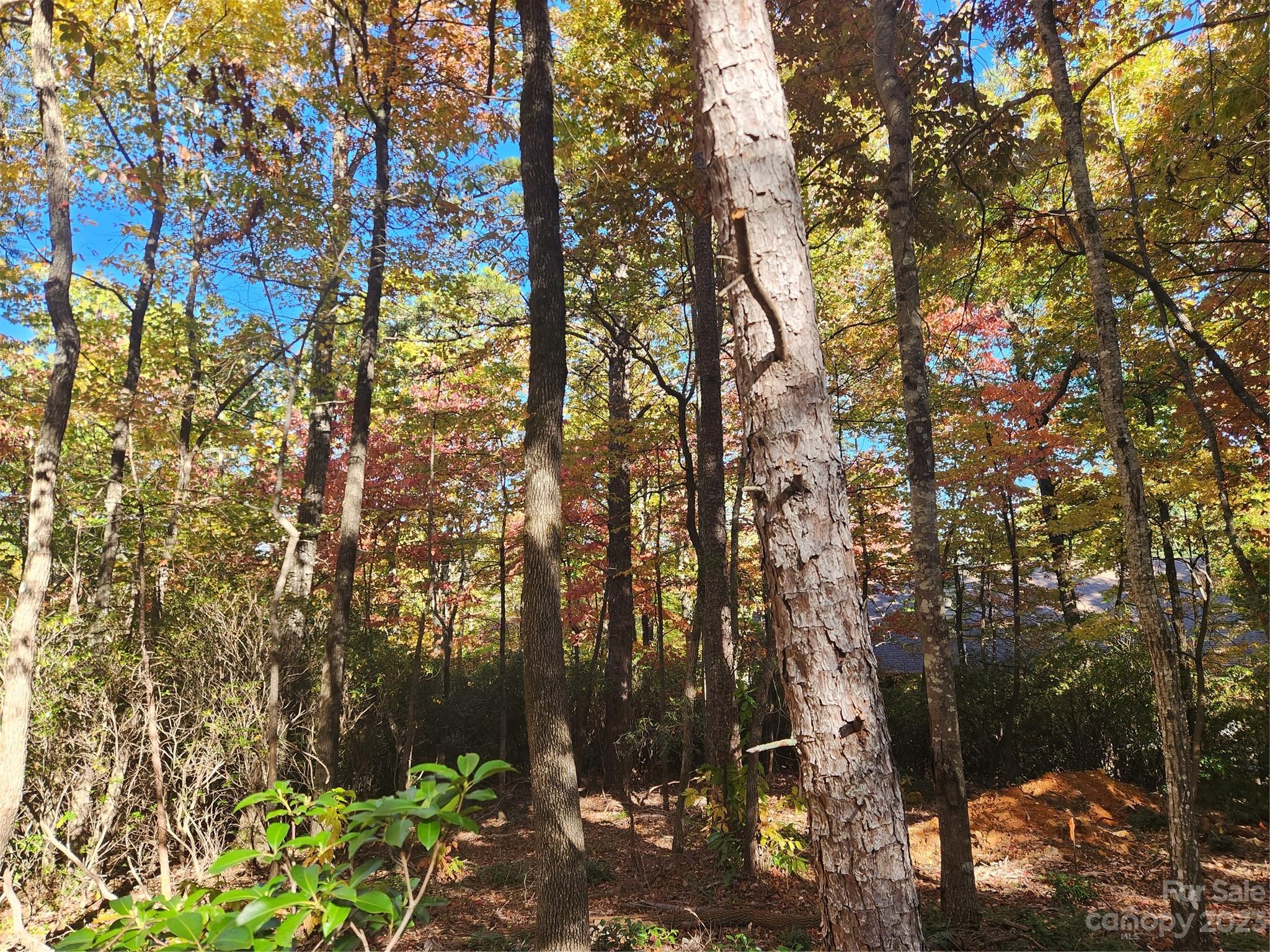 Lot 268 Quail Ridge Rd Lake Lake Lure, NC 28746 - Photo 4 of 14 a backyard of a house with lots of green space