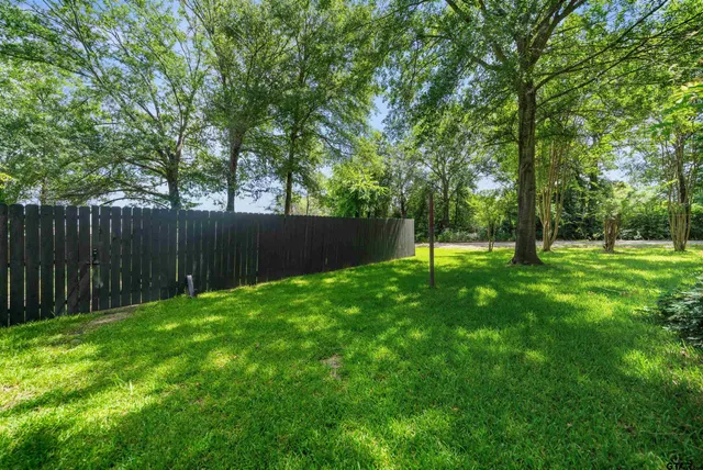 a backyard of a house with plants and tree
