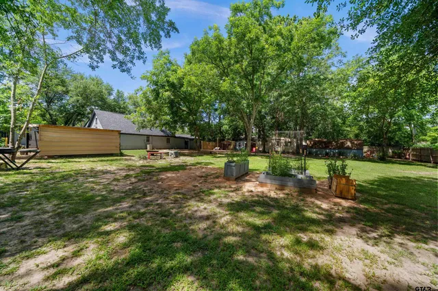 a view of a backyard with a tree