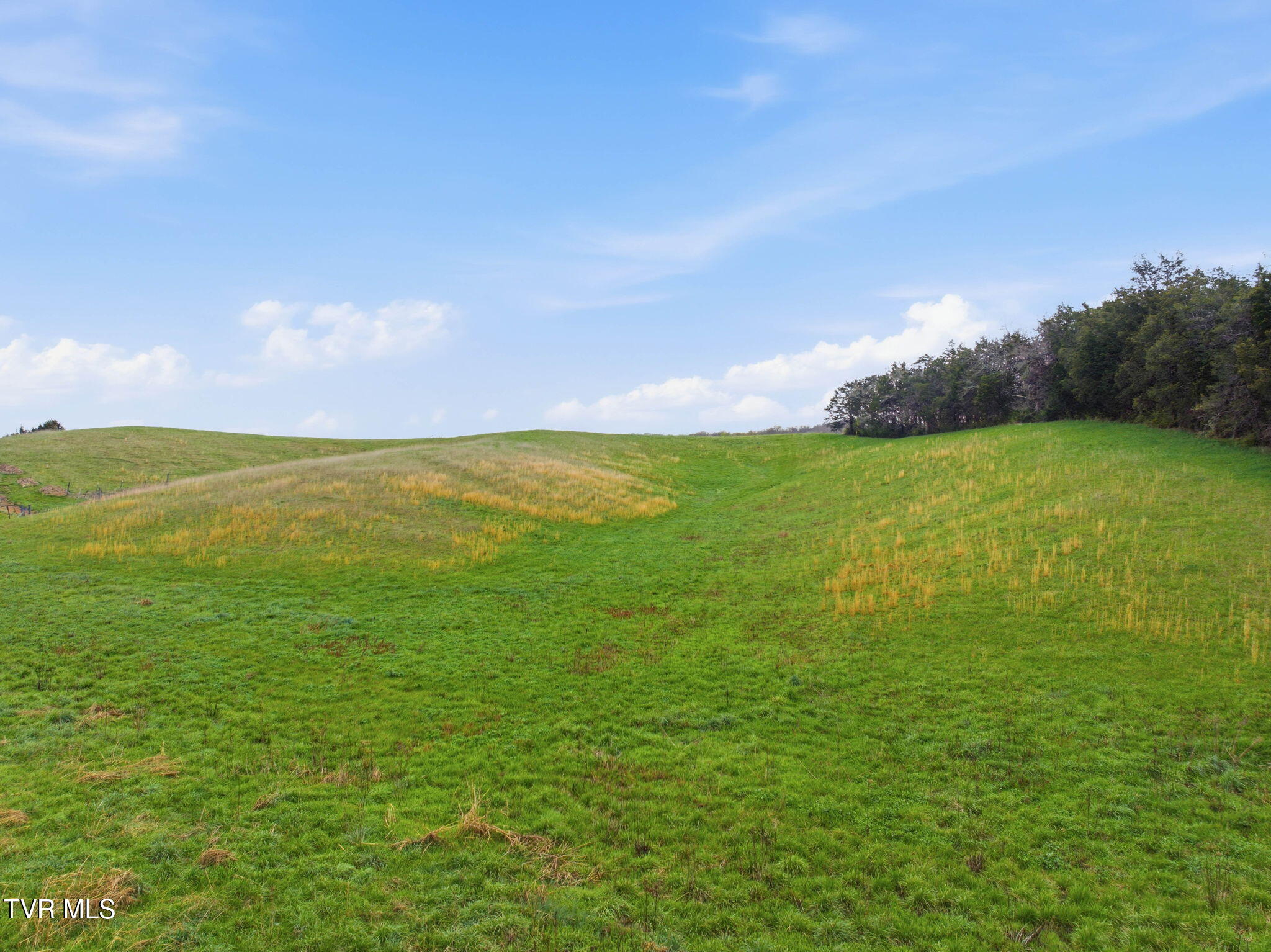 1154 South Wesley Chapel Road Greeneville, TN 37745 - Photo 9 of 14 8-web-or-mls-1154 S Wesley Chapel Rd-3