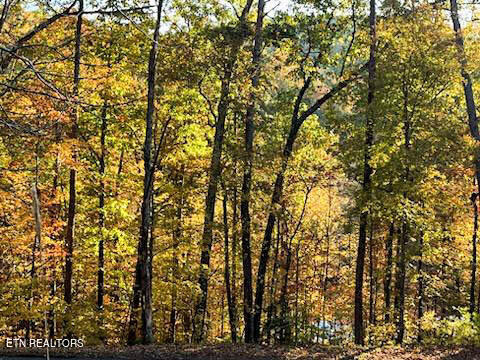 1248 Hickory Star Road Maynardville, TN 37807 - Photo 33 of 40 hickory star view2