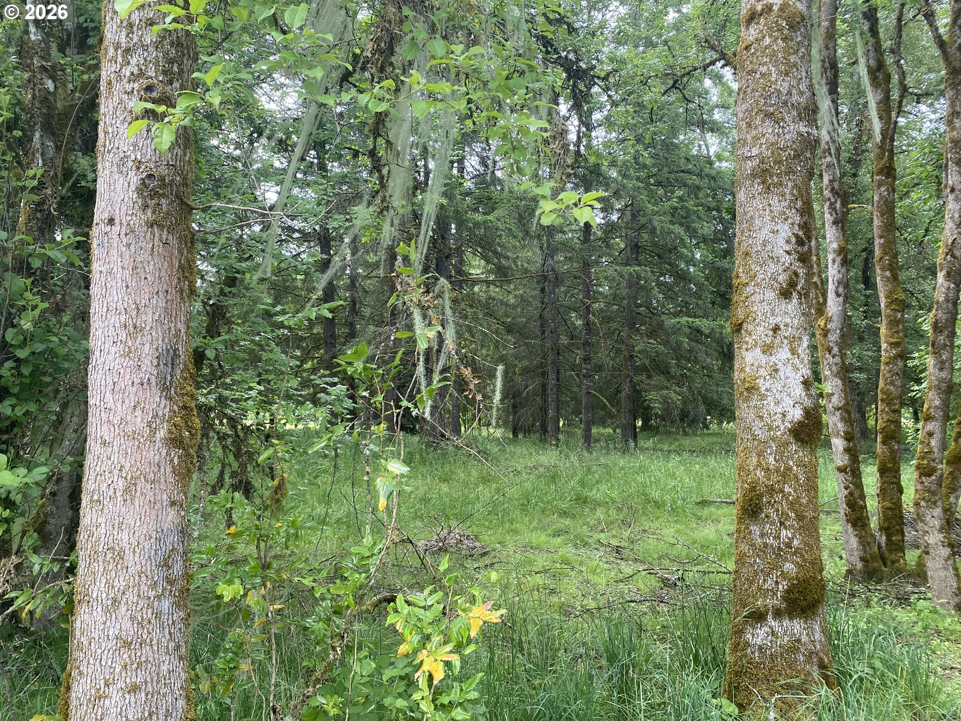 38102 Queens Road Marcola, OR 97454 - Photo 46 of 48