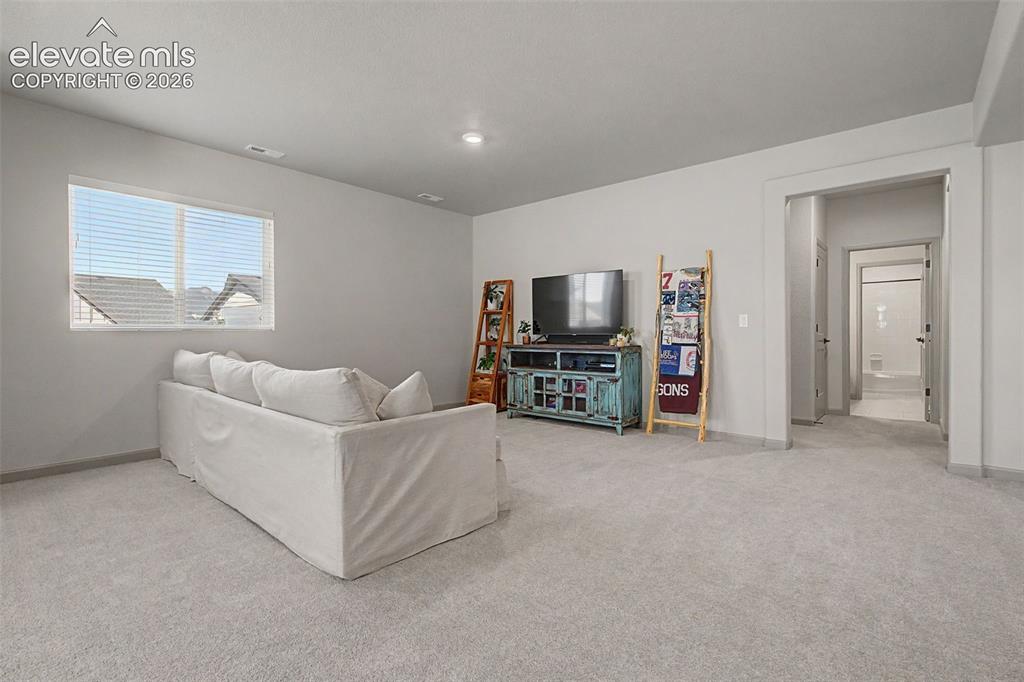 11634 Justify Drive Colorado Springs, CO 80921 - Photo 31 of 46