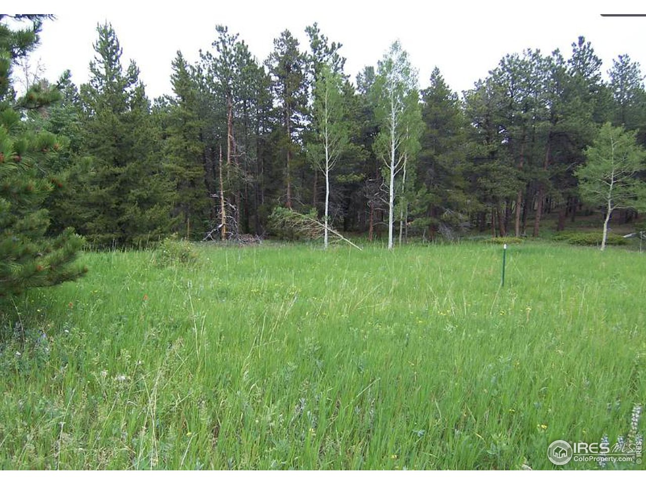 167 Jed Smith Road Ward, CO 80481 - Photo 1 of 4 a view of a park