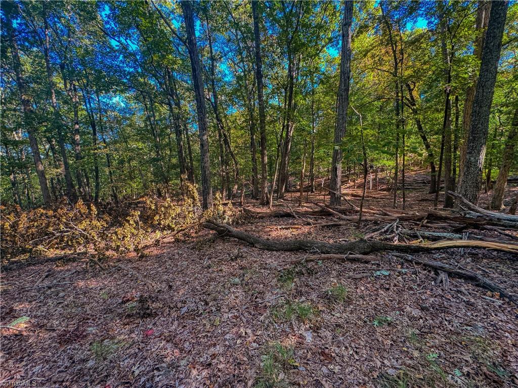 388 Palisade Trail Denton, NC 27239 - Photo 6 of 33