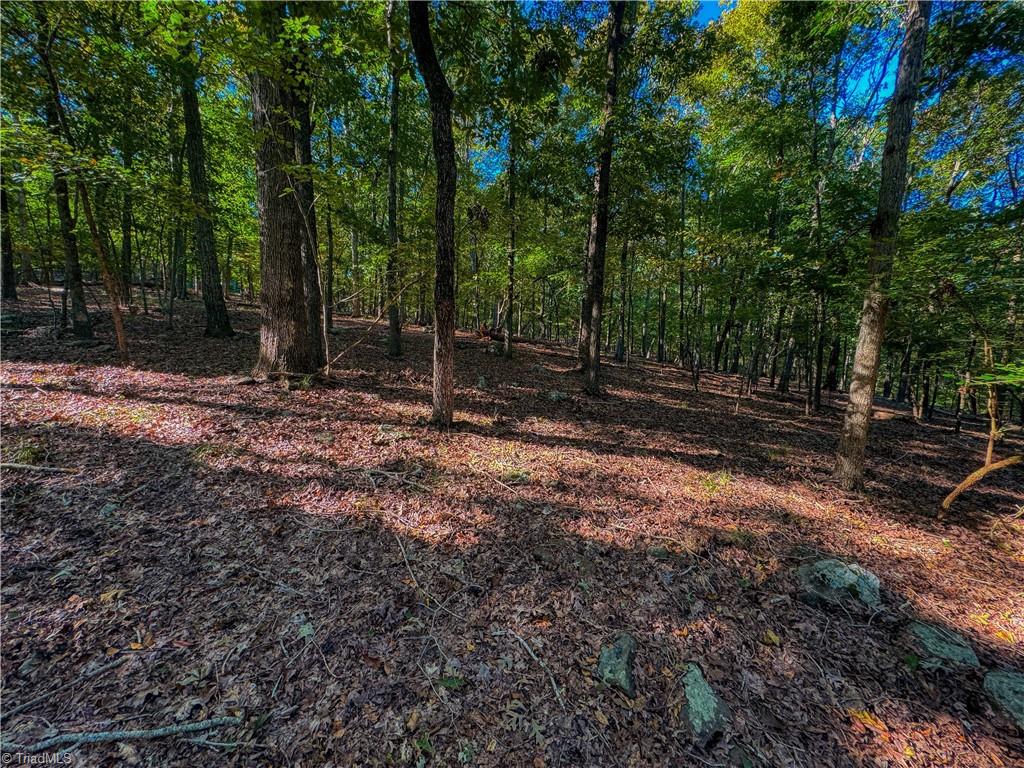 388 Palisade Trail Denton, NC 27239 - Photo 7 of 33