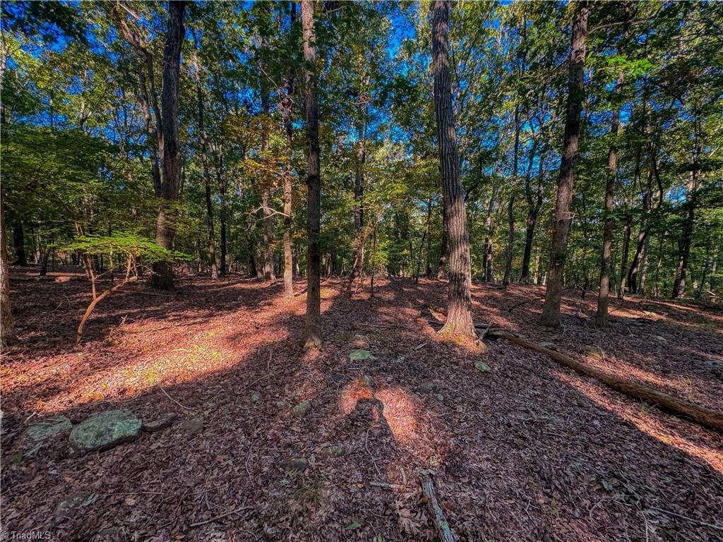 388 Palisade Trail Denton, NC 27239 - Photo 8 of 33