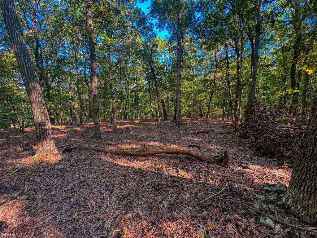 388 Palisade Trail Denton, NC 27239 - Photo 9 of 33