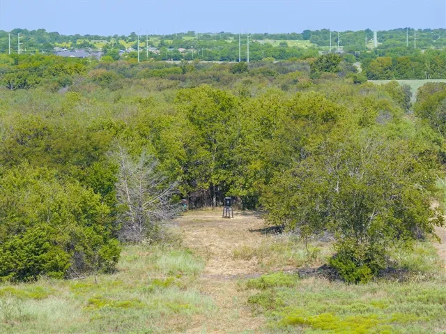 a view of lake with green field