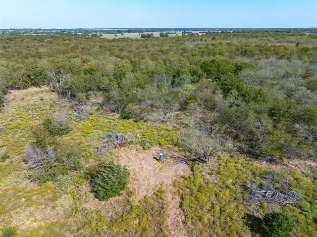 a view of a field with an ocean view