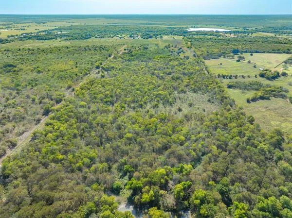 a view of a field with an ocean