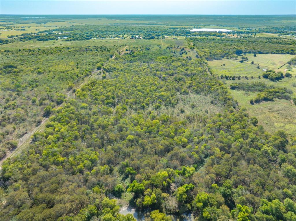 Tbd North Tbd N Fm-429 Road Terrell, TX 75161 - Photo 19 of 24 a view of a field with an ocean