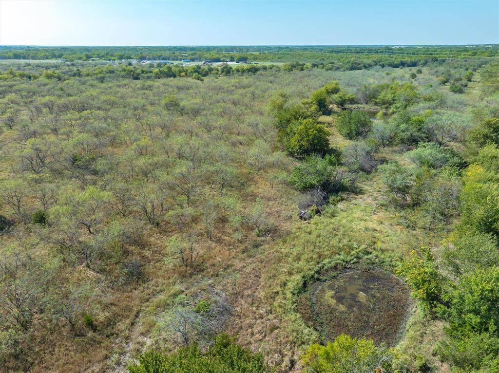 Tbd North Tbd N Fm-429 Road Terrell, TX 75161 - Photo 21 of 24 a view of a field with an trees