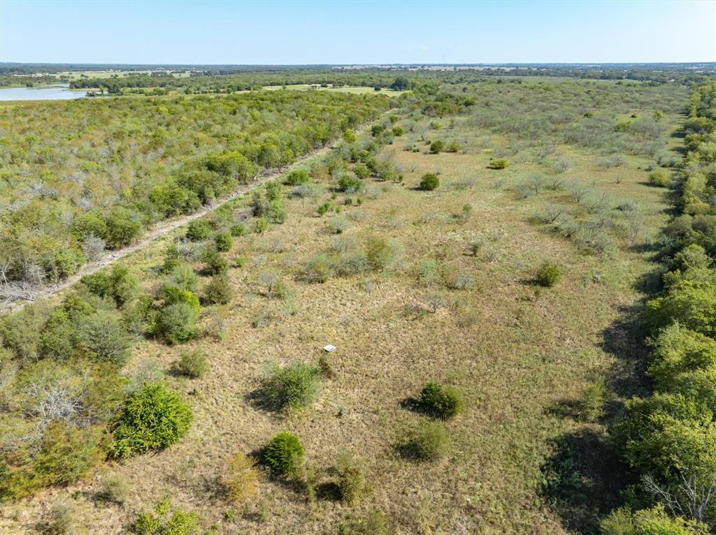 Tbd North Tbd N Fm-429 Road Terrell, TX 75161 - Photo 24 of 24 a view of a pathway both side of yard with green space