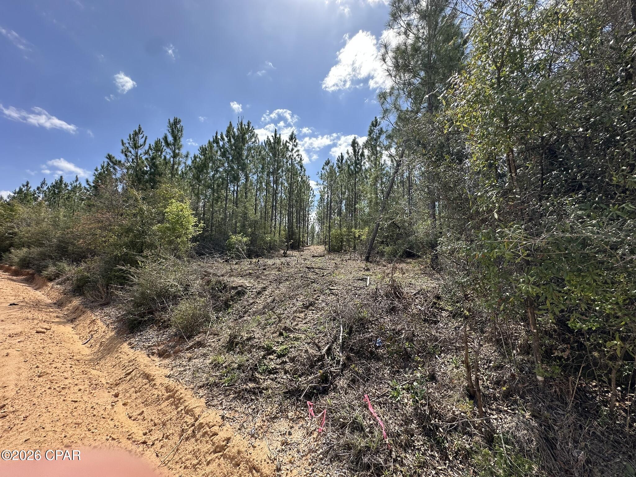 Tract#6418 Mattox Springs Road, Unit S3 Caryville, FL 32427 - Photo 2 of 4