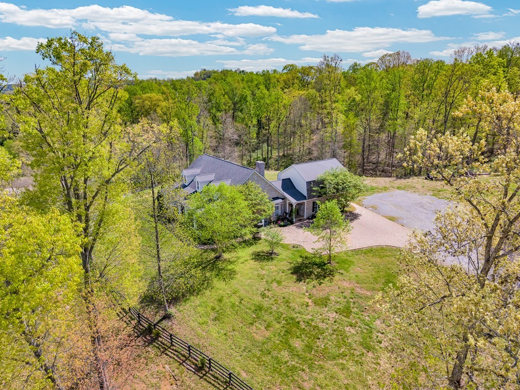 3631 Louisville Road Louisville, TN 37777 - Photo 57 of 64 a view of a garden with plants and large trees