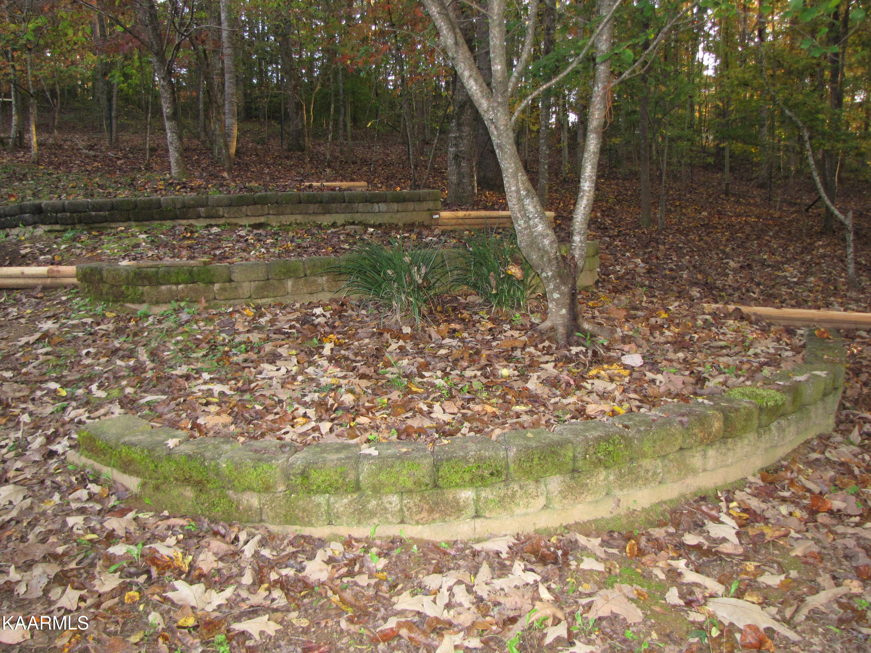 101 Crowder Road Madisonville, TN 37354 - Photo 50 of 59 P19