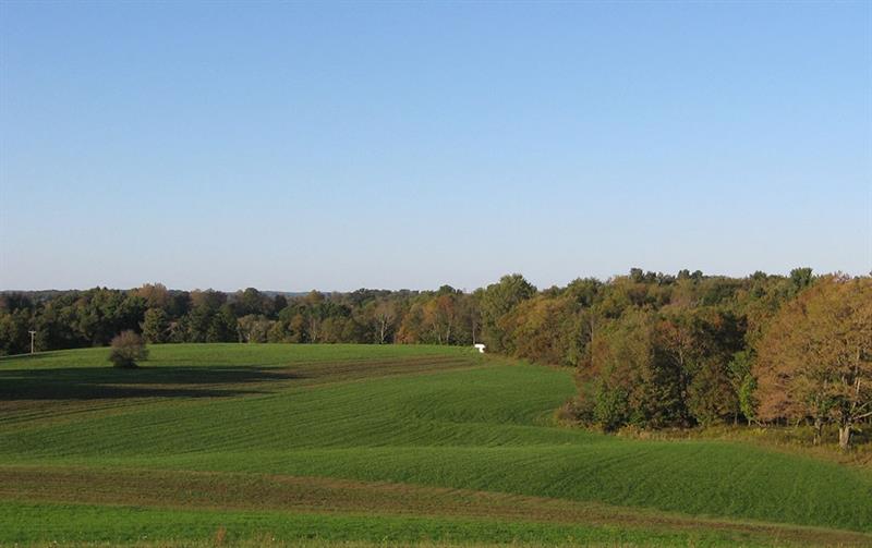 826 Cypress Road Commodore, PA 15729 - Photo 7 of 8 Property