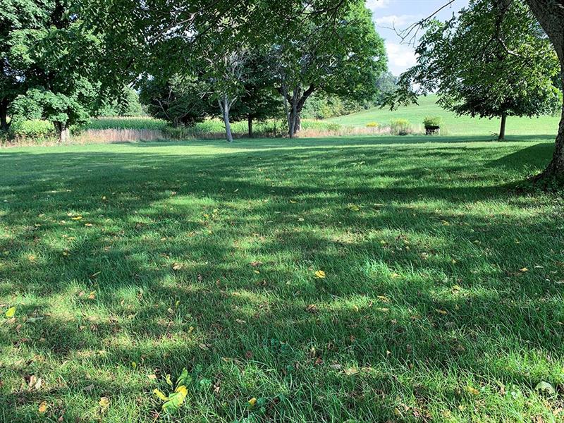 826 Cypress Road Commodore, PA 15729 - Photo 8 of 8 Property