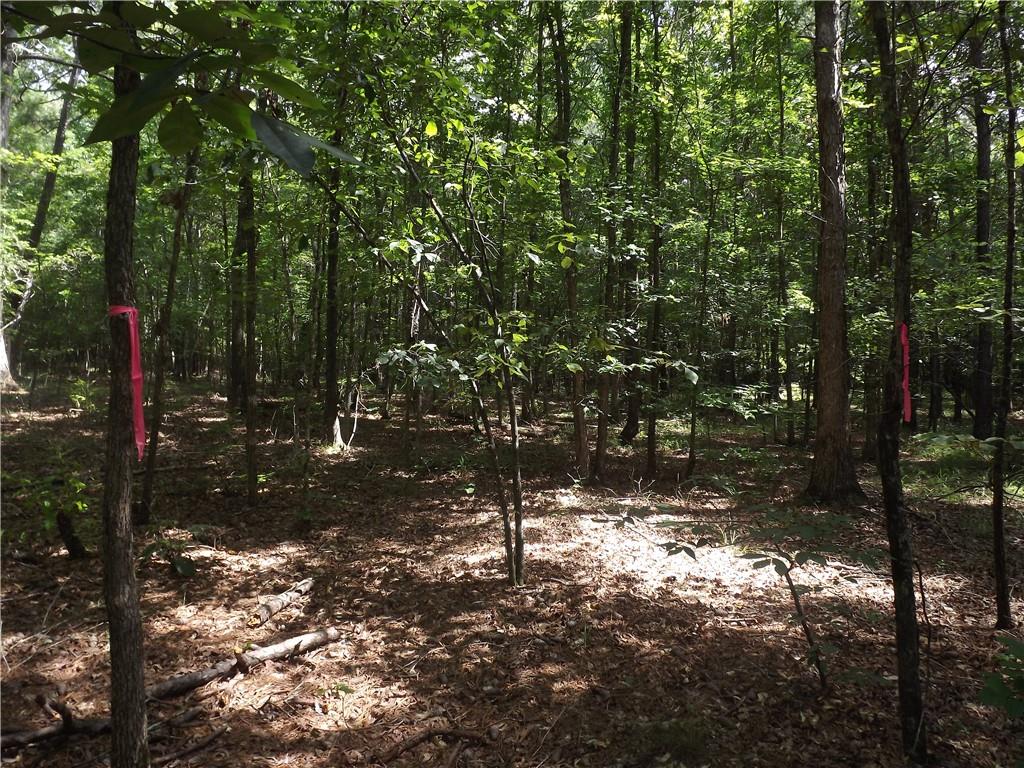 0 George Road Southwest Cave Spring, GA 30124 - Photo 22 of 22