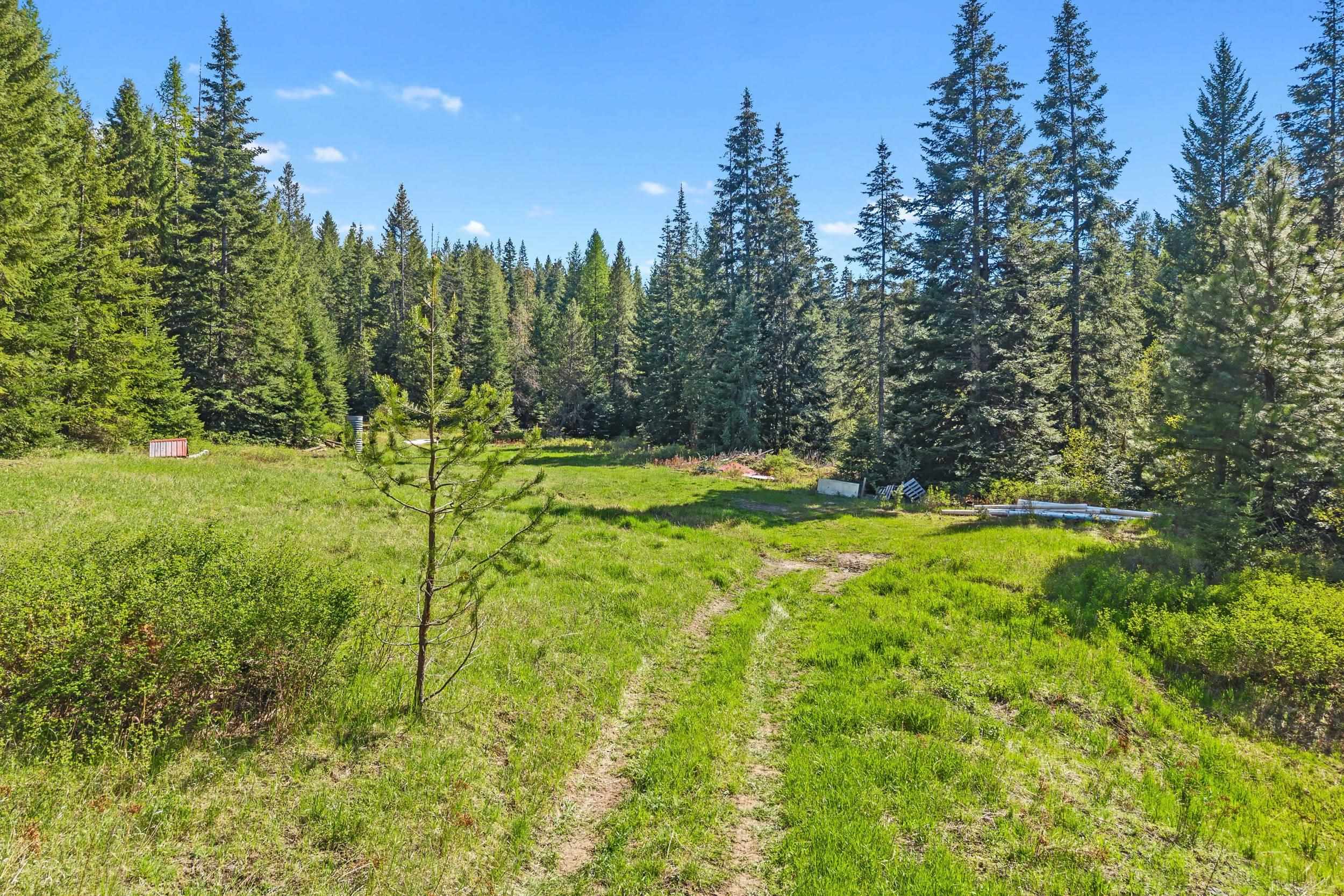 2785 Records Road Addy, WA 99101 - Photo 46 of 50