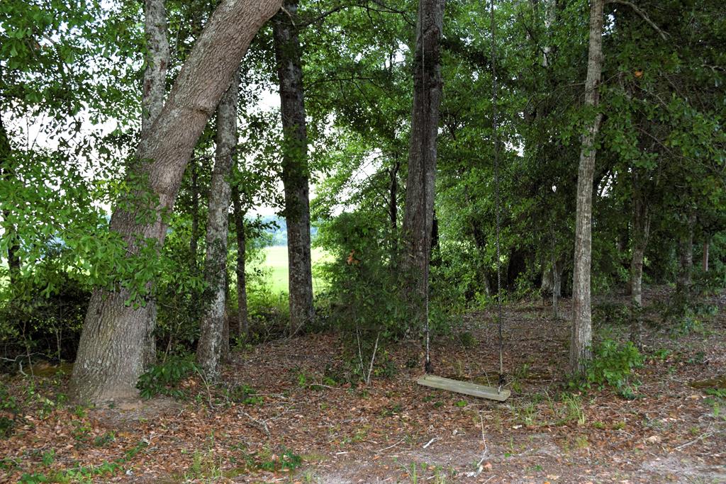 7252 County Road 49 Slocomb, AL 36375 - Photo 47 of 75