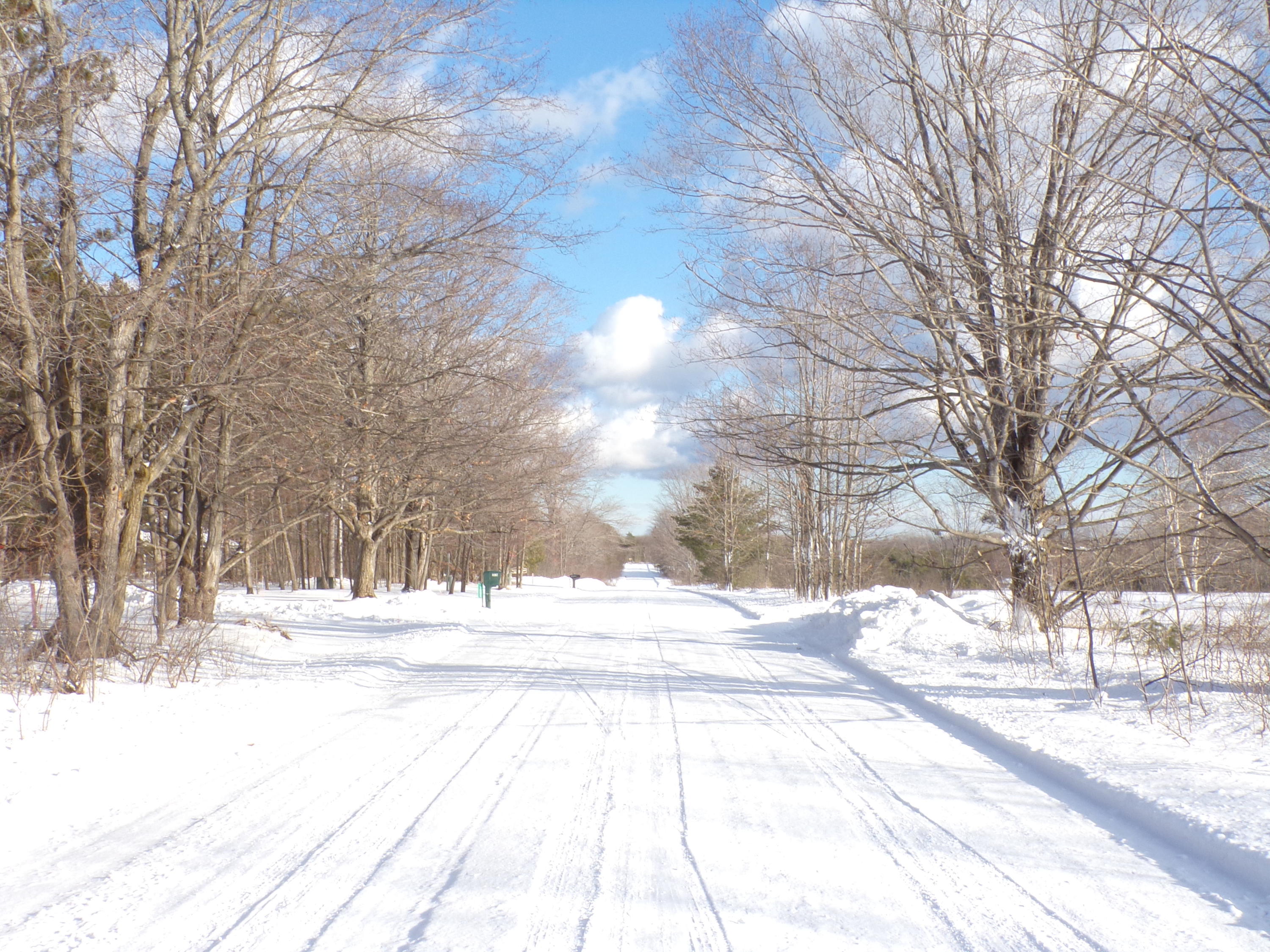 Maple Road Carp Lake, MI 49718 - Photo 4 of 4 Gallery Image 4