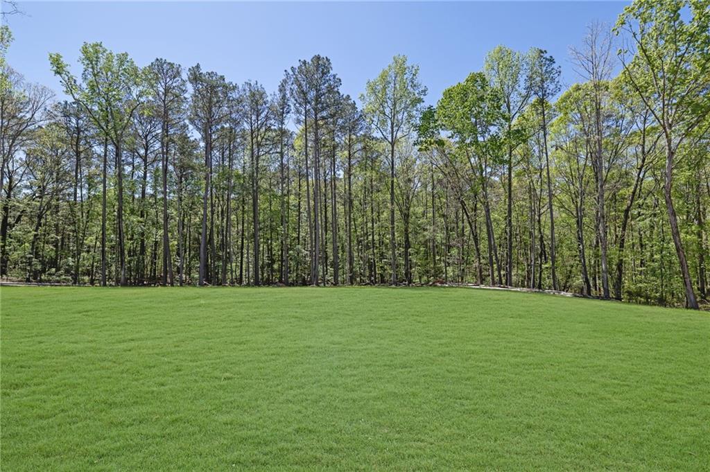 1610 Double Springs Church Road Monroe, GA 30656 - Photo 57 of 81 a view of a green field