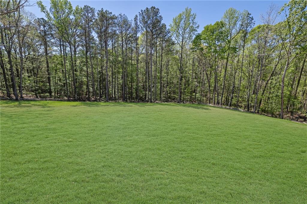 1610 Double Springs Church Road Monroe, GA 30656 - Photo 79 of 81 a backyard of a house with lots of green space and fountain