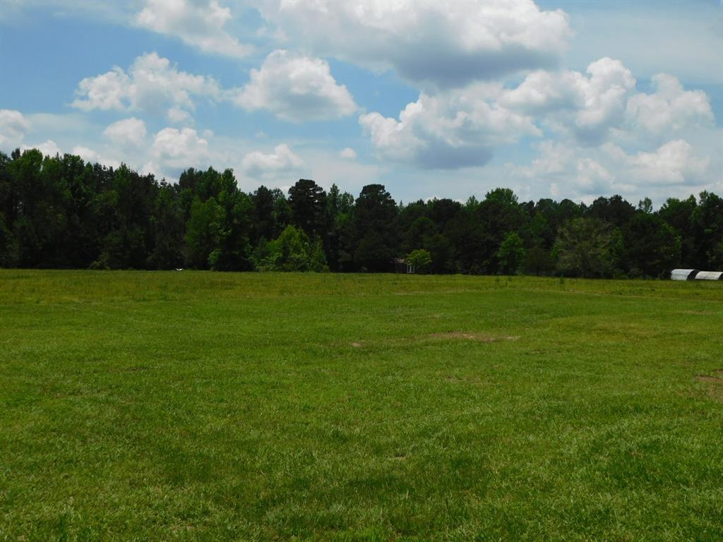 555 Thomasville Road Sarepta, LA 71071 - Photo 6 of 40