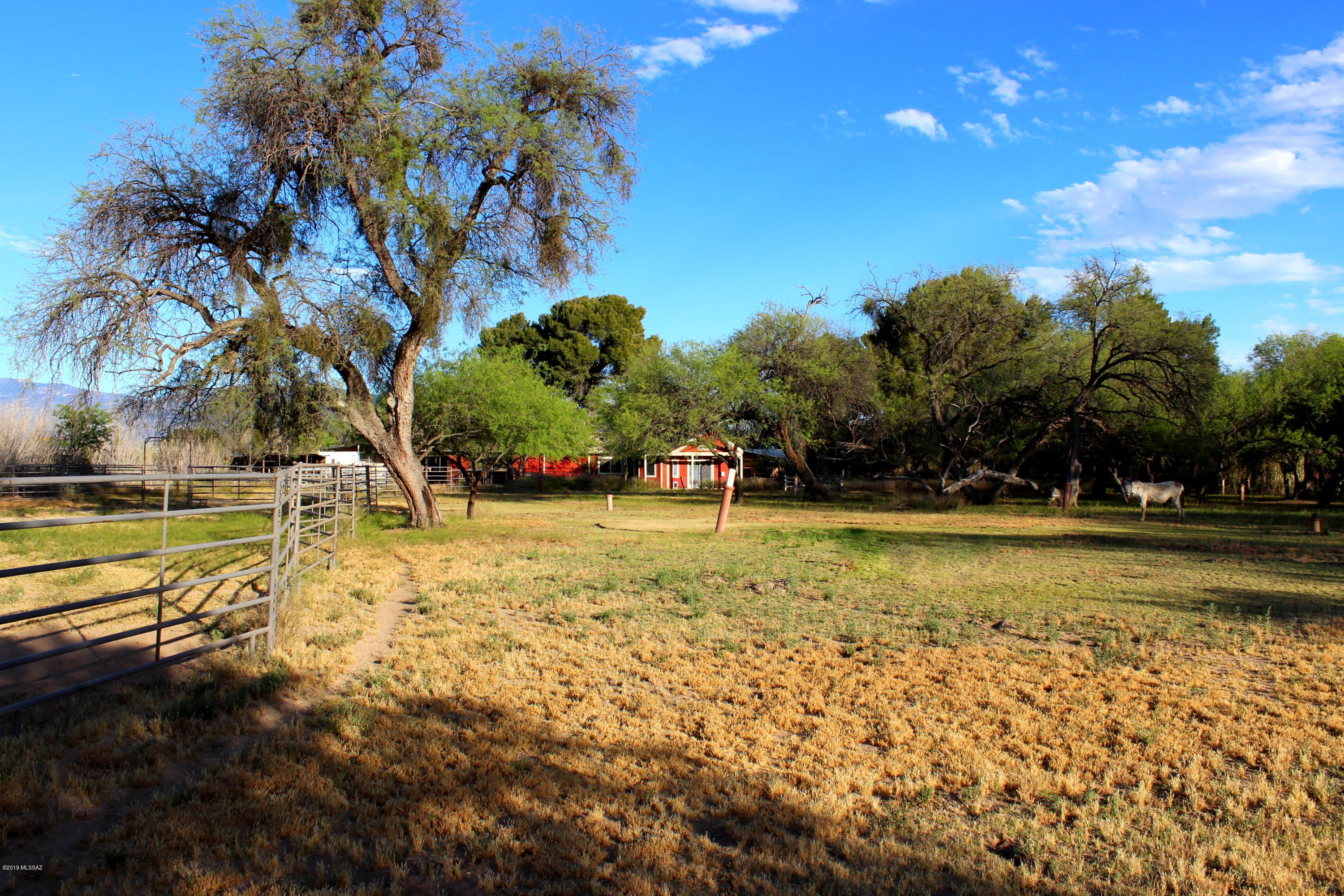 2750 North Pantano Road Tucson, AZ 85715 - Photo 6 of 21