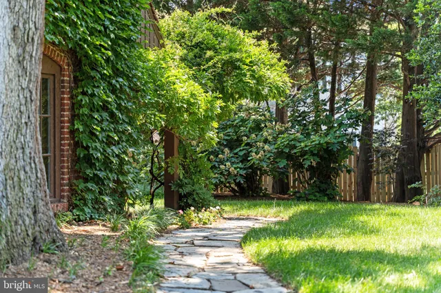 a view of backyard with green space