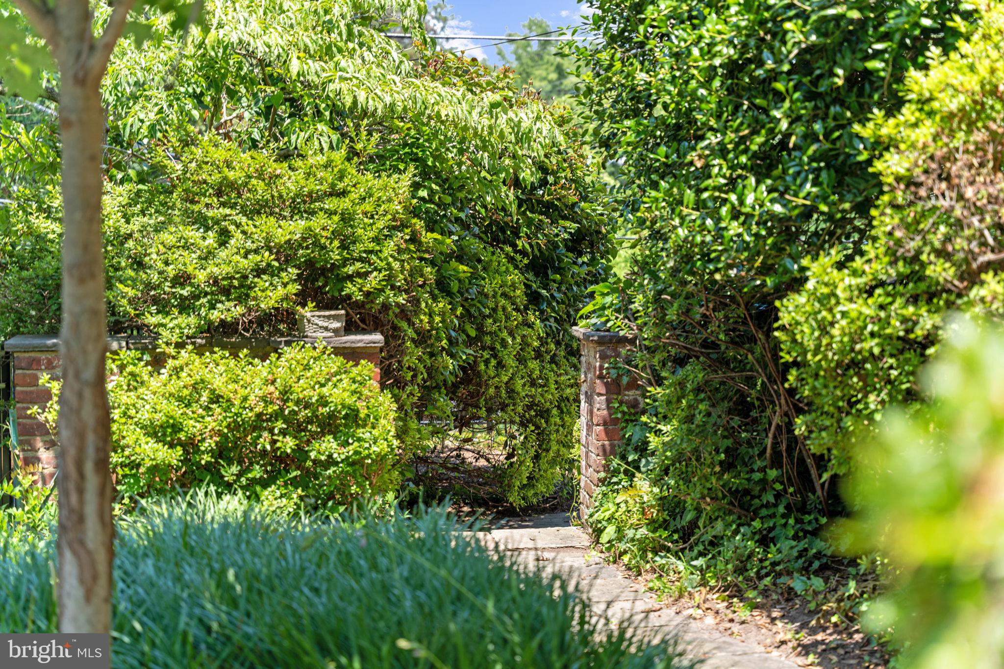 3111 Idaho Avenue Northwest Washington, DC 20016 - Photo 5 of 40 a view of a garden