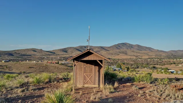 a view of a house with a yard and a forest