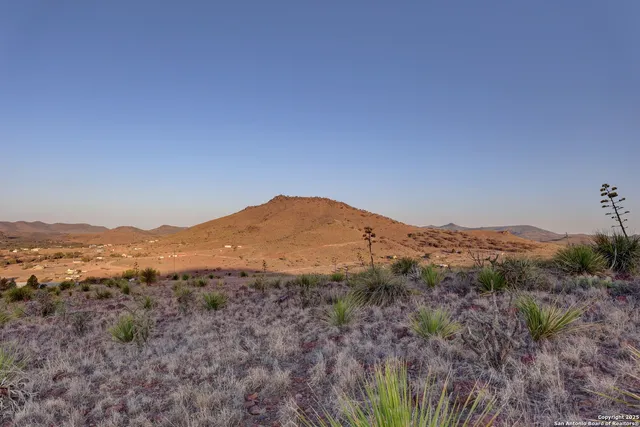 a view of a dry field with mountains in the background