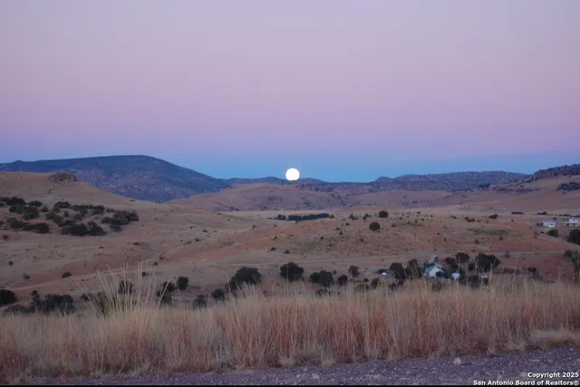 a view of a wooden floor