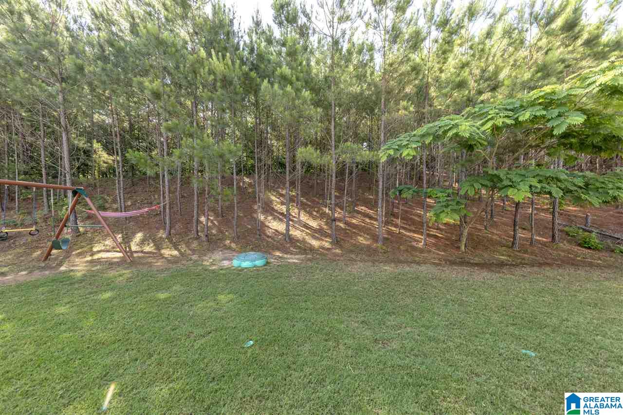 648 Rosebury Road Helena, AL 35080 - Photo 4 of 49