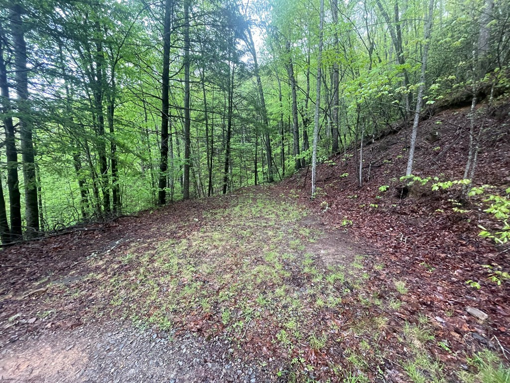 0 Ledford Road Bryson City, NC 28713 - Photo 6 of 8 Gallery Image 6