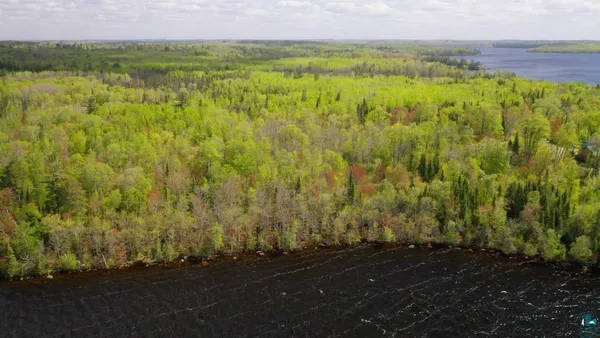 $598,500 | Parcel C South Niles Bay Forest Road, Orr, MN 55771