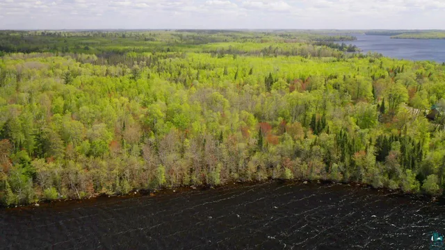 $598,500 | Parcel C South Niles Bay Forest Road, Orr, MN 55771