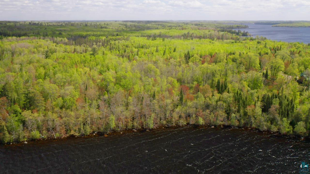 Parcel C South Niles Bay Forest Road Orr, MN 55771 - Photo 4 of 10