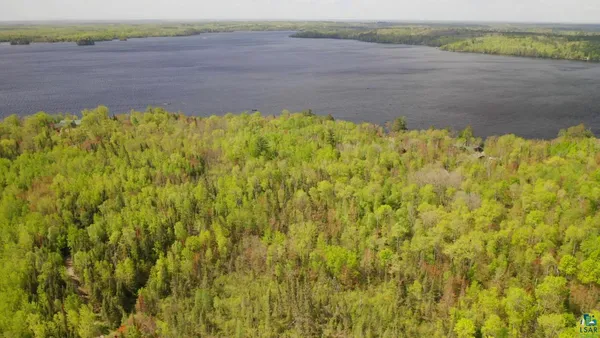 $598,500 | Parcel C South Niles Bay Forest Road, Orr, MN 55771
