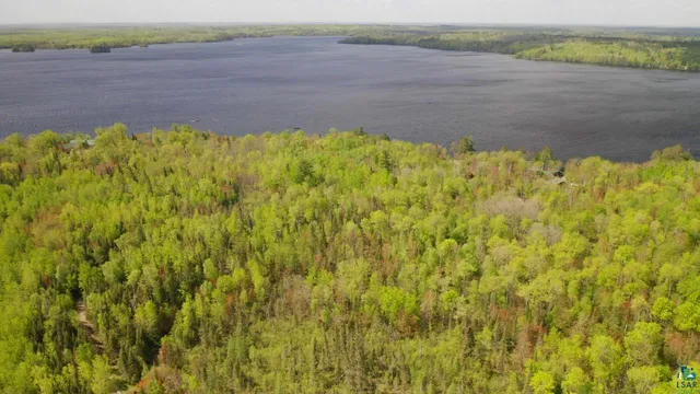 $598,500 | Parcel C South Niles Bay Forest Road, Orr, MN 55771