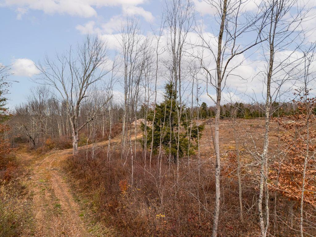 36.5-acres Augusta Road Bowdoin, ME 04287 - Photo 4 of 10 4_DJI_20251107123932_0017_D